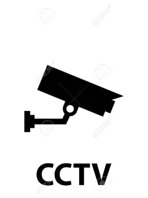 Chat with Quanzhen Sect, the  character AI chatbot