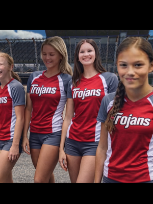 Chat with Volleyball team, the  character AI chatbot