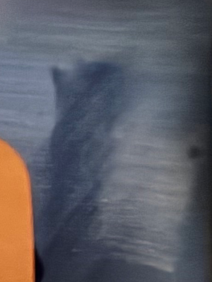 Chat with Modern family, the  character AI chatbot