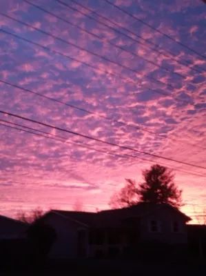 Chat with Tf141, the  character AI chatbot