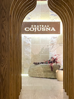 Chat with The ancient cave, the  character AI chatbot