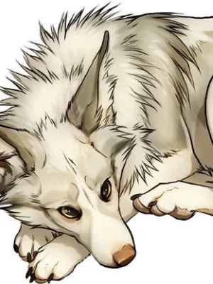 Chat with Pet Dire Wolf, the Furry character AI chatbot