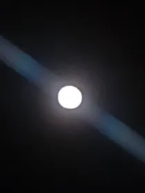 Chat with Family, the Anime character AI chatbot