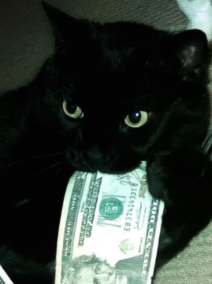 Chat with Shadow, the Movie & TV character AI chatbot