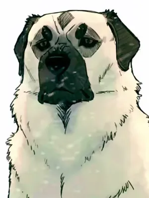 Chat with Shepherd, the Cartoon character AI chatbot