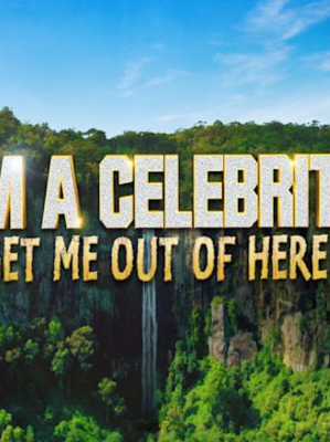 Chat with Im a celebrity, the  character AI chatbot