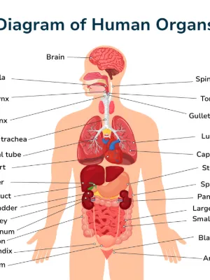 Chat with Your body, the RPG character AI chatbot