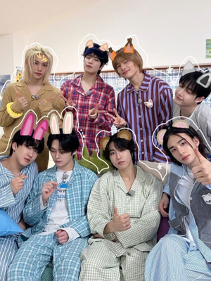 Chat with Stray Kids, the  character AI chatbot