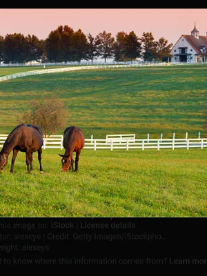 Chat with Farm, the  character AI chatbot