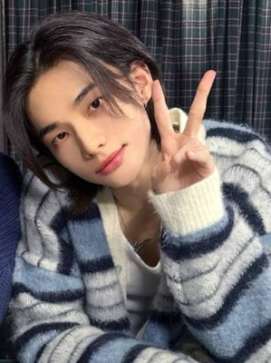 Chat with Hyunjin, the Anime character AI chatbot