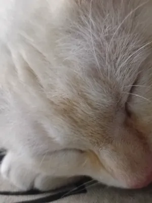 Chat with Glitchtale, the  character AI chatbot