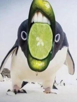 Chat with Latex Puddle, the  character AI chatbot