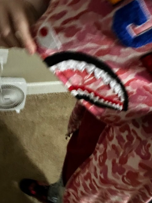 Chat with Leon, the  character AI chatbot