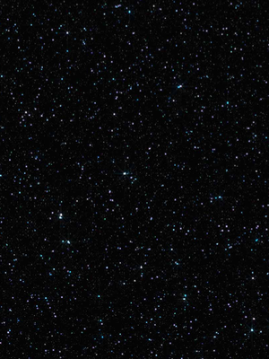 Chat with Foreeven, the Joyful Christmas character AI chatbot