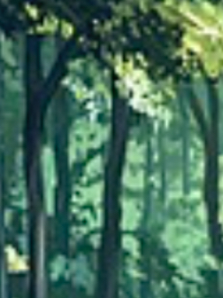 Chat with Forest ecosystem, the  character AI chatbot