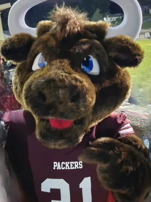 Chat with Sir Loin, the  character AI chatbot