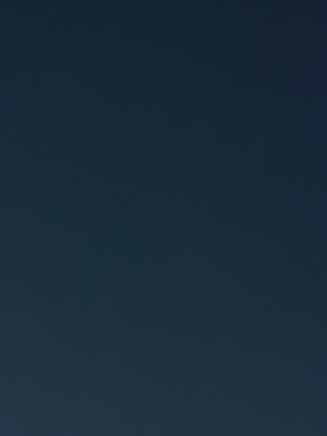 Chat with Uri, the  character AI chatbot