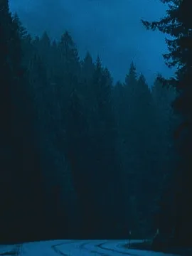 Chat with Alex -BL, the BL & ABO character AI chatbot