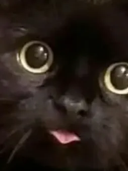 Chat with Aizawa, the  character AI chatbot