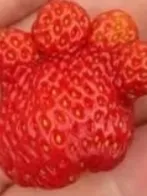 Chat with Class 1-A, the  character AI chatbot