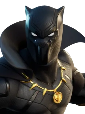 Chat with Black Panther, the Movie & TV character AI chatbot