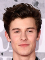 Chat with Chester, the  character AI chatbot