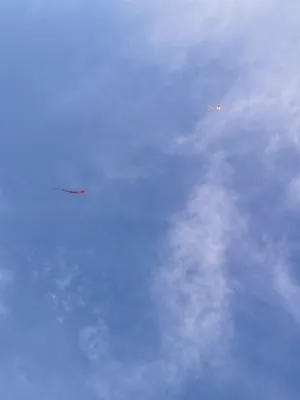 Chat with One Direction 1D, the VTuber character AI chatbot