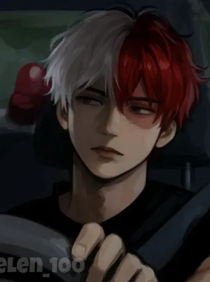 Shoto Todoroki_avatar