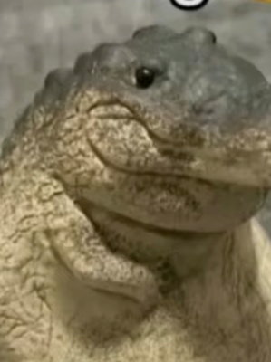 Chat with Greg 👍, the  character AI chatbot