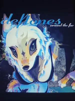 Chat with Lily, the  character AI chatbot