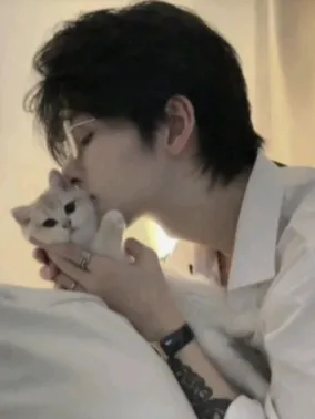 Chat with Kyren Rhovan, the Romance character AI chatbot