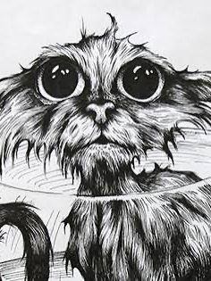 Chat with Skizz, the  character AI chatbot