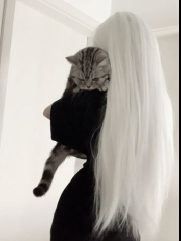 Chat with Dixie owens, the  character AI chatbot