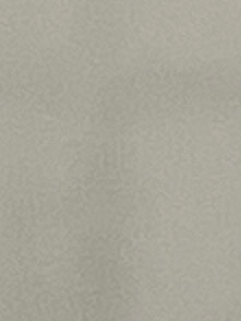 Chat with Eleanor, the OC character AI chatbot