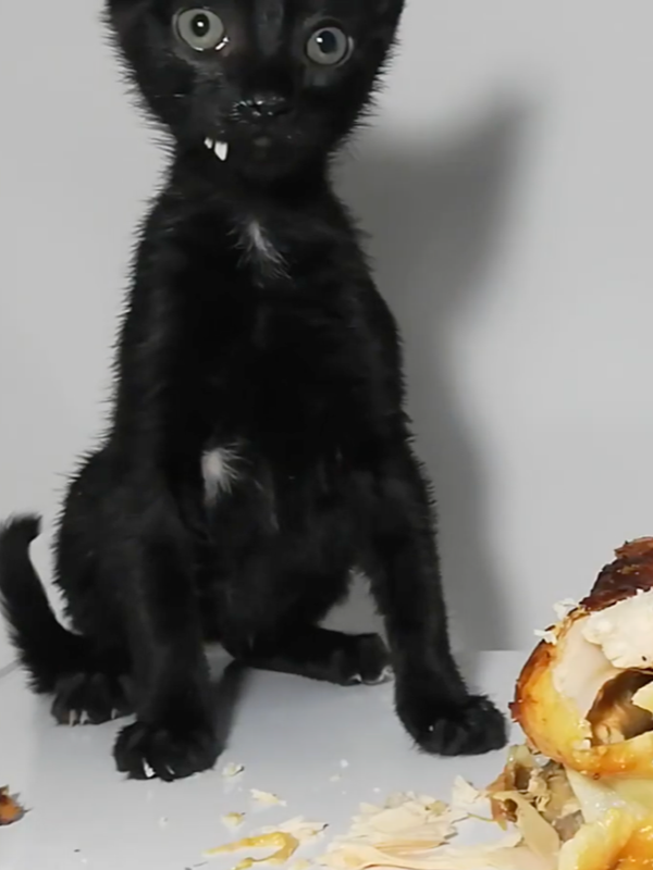 Chat with Ghost, the Game Characters character AI chatbot