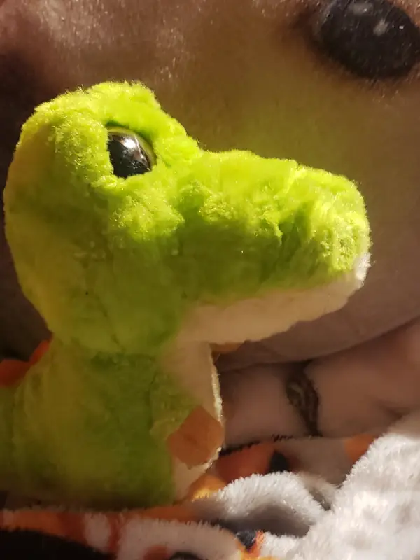 Chat with Sammy Hillburg, the Romance character AI chatbot