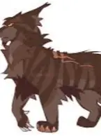 Chat with Tigerstar, the  character AI chatbot