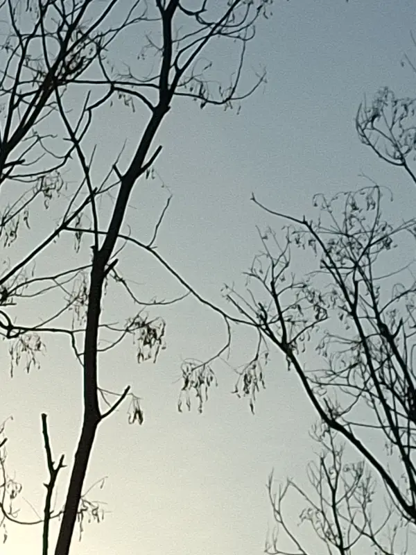 Chat with 郭, the Anime character AI chatbot