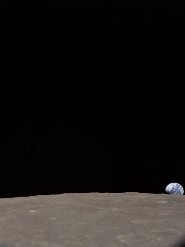 Chat with Luna, the OC character AI chatbot