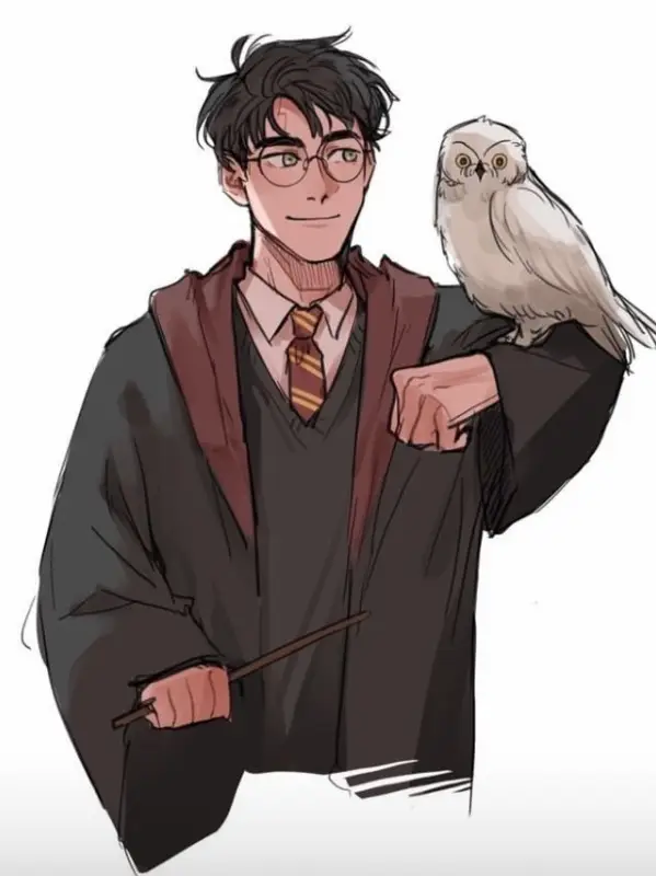 Chat with the resorting of hogwarts, the  character AI chatbot