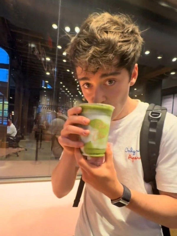 Chat with Noah Schnapp, the  character AI chatbot