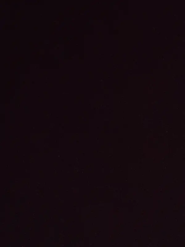 Chat with Maxine, the Anime character AI chatbot