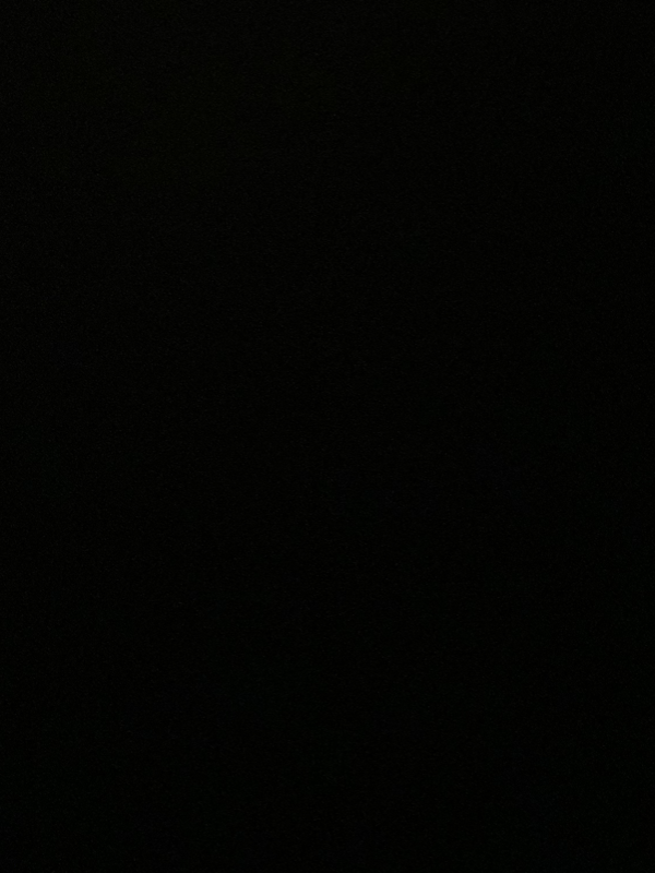 Chat with Bismarck, the  character AI chatbot