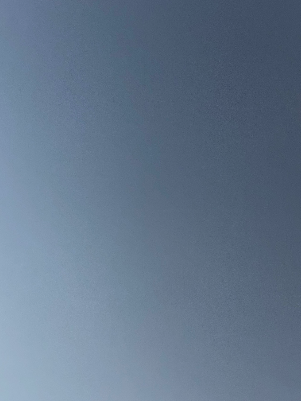 Chat with Mira, the  character AI chatbot