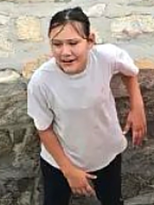 Chat with Liliana, the  character AI chatbot