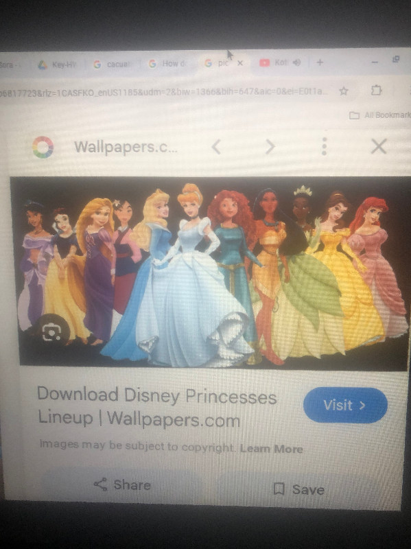 Chat with Disney princess, the  character AI chatbot