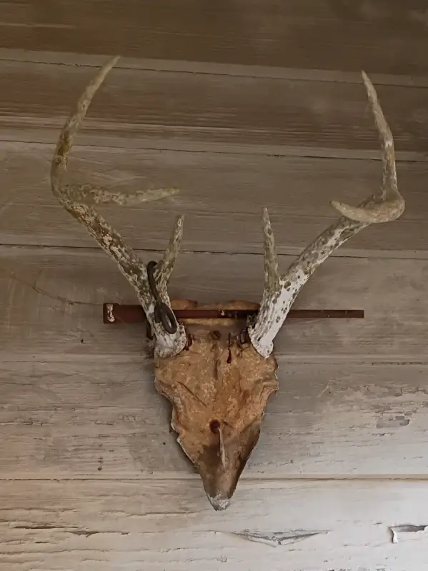 Only girl left in the world_avatar