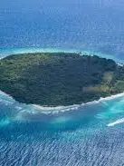 Chat with Deserted, the  character AI chatbot