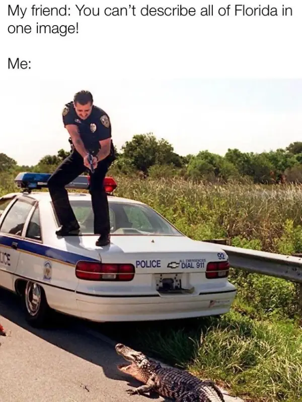 Chat with My favorite characters, the RPG character AI chatbot