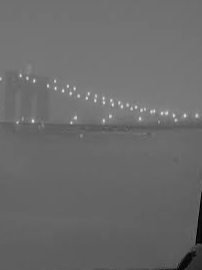 Chat with Special Schizophrenia?, the OC character AI chatbot